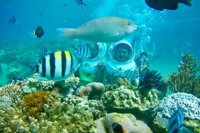Bali Sea Walker - Key points at a glance