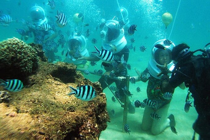 Bali Sea Walker - Twenty-five minutes with the fish