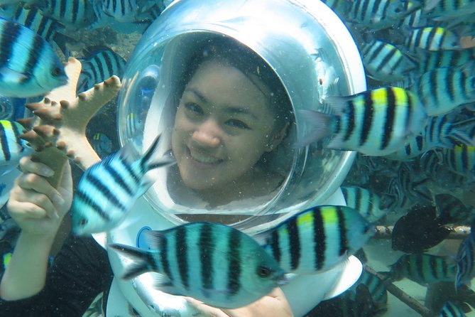 Bali Sea Walker - Is $38.98 a fair price?
