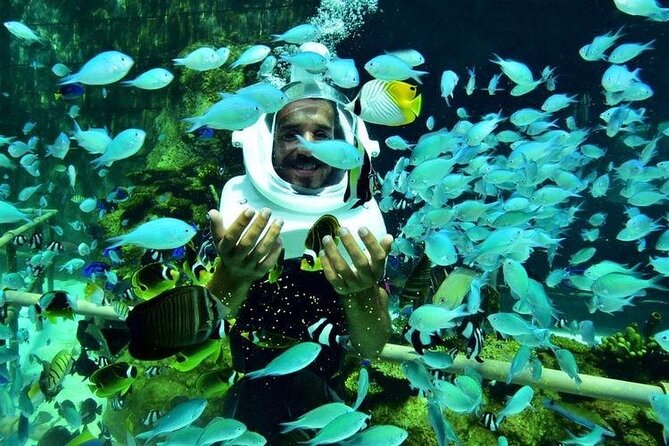 Bali Sea Walker Under Water Experience With Hotel Transfer - The Marine Life You Can Expect to See