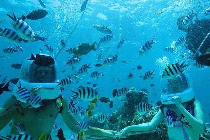 Bali Sea Walker Under Water Experience With Hotel Transfer - Is the $32.50 Price Good Value?