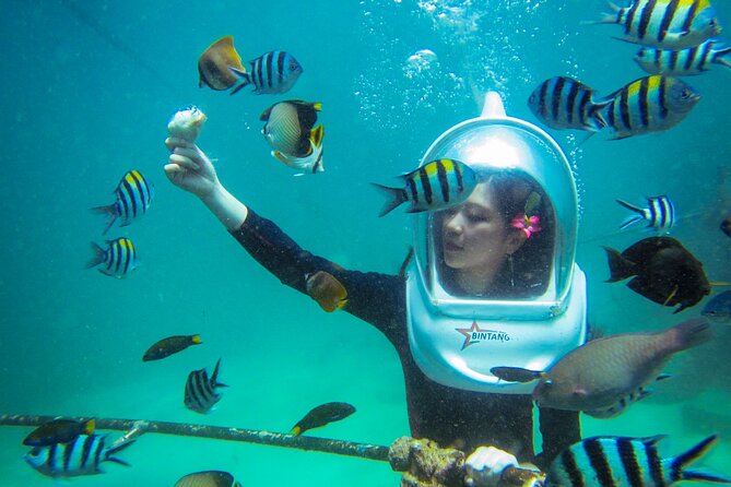 Bali Sea Walker Under Water Experience With Hotel Transfer - Who Will Enjoy Sea Walker Most