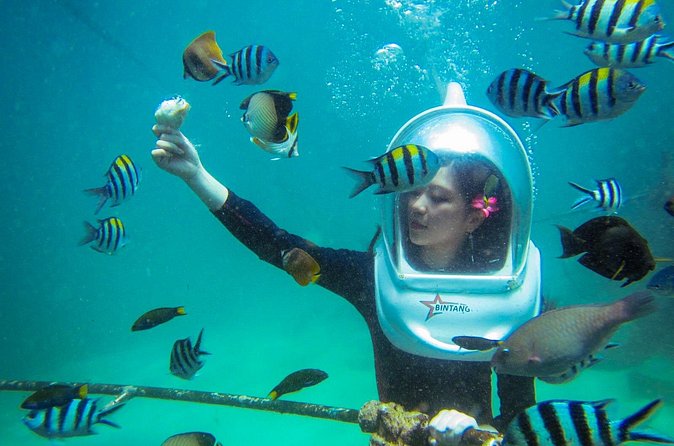 Bali Sea Walker Under Water Experience With Hotel Transfer - A Practical Plan for Your Morning