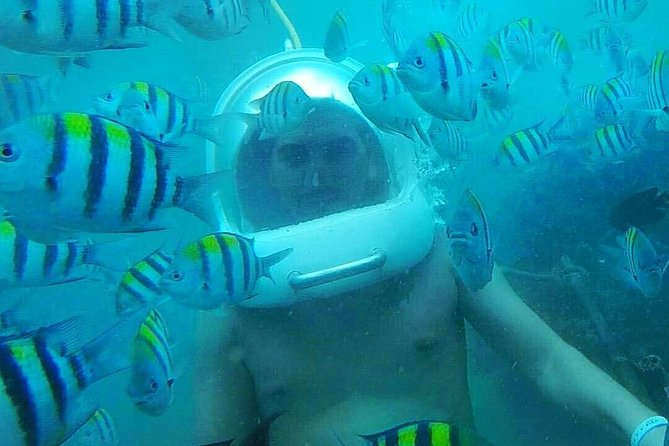 Bali Sea Walking Experience - Is the $35.35 price good value?