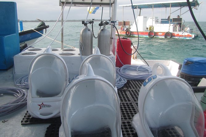 Bali Sea Walking Experience - Who should book this Bali sea walk?