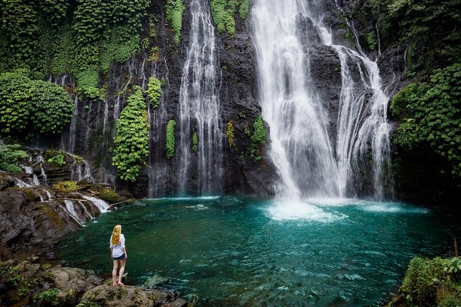 Bali Secret Waterfall Tour - Private and All-Inclusive - The lake lunch is more than a fuel stop