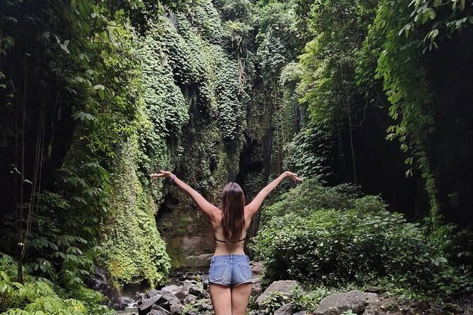 Bali Sekumpul with Fiji Waterfall & Bedugul Temple (Private Tour) - What the strongest service looks like