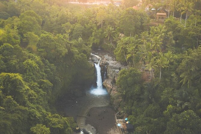 Bali Shore Excursions : Best of Bali Tour - Leaving the port for Ubud
