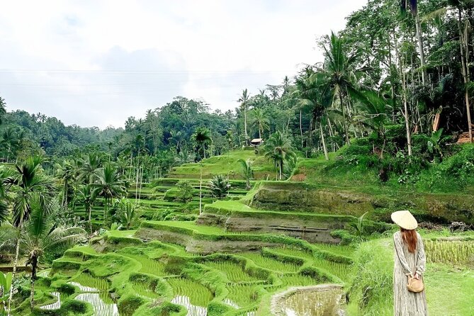 Bali Shore Excursions : Best of Bali Tour - A private guide can shape the day