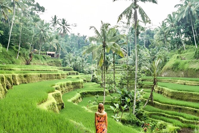Bali Shore Excursions : Best of Bali Tour - Comfort matters on a long Bali day