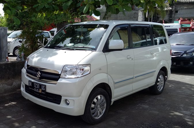 Bali Sightseeing Car Hire with English-speaking Guide and Driver - What is not included