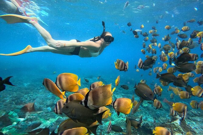 Bali Snorkeling 2 Spot at Blue Lagoon with Lunch & Transport - Key points at a glance