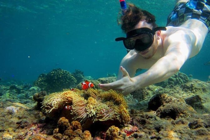 Bali Snorkeling 2 Spot at Blue Lagoon with Lunch & Transport - What families and beginners should know