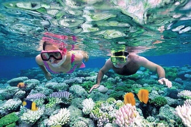 Bali Snorkeling at Blue Lagoon and Tanjung Jepun with Transfer - Key points to know before booking