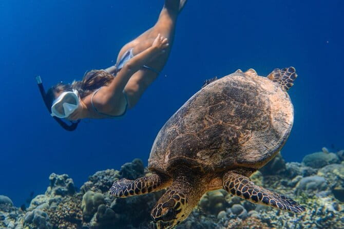 Bali Snorkeling at Blue Lagoon and Tanjung Jepun with Transfer - The return to Ubud and the true six-hour timing