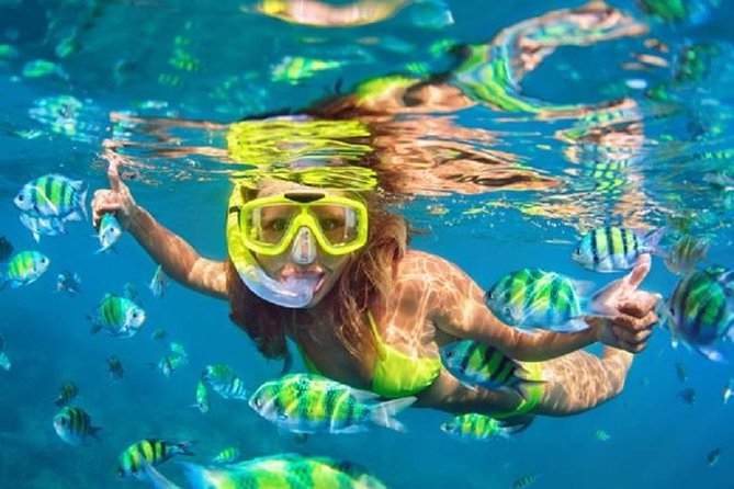 Bali Snorkeling at Blue Lagoon with Transport and Lunch - What the six-hour day really feels like