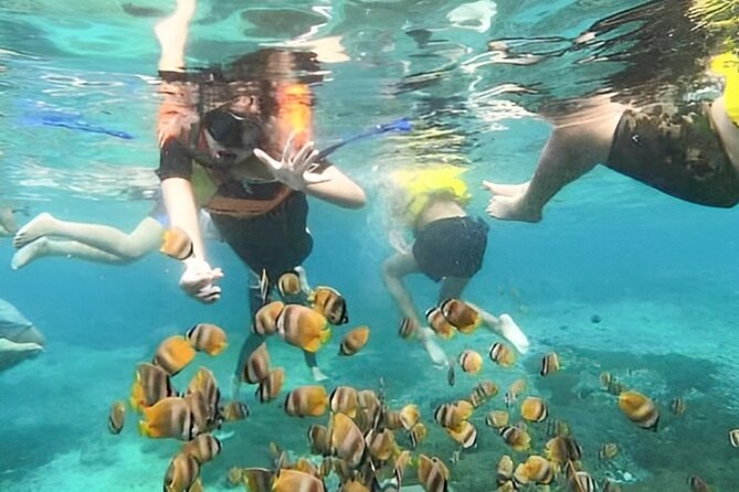 Bali Snorkeling Tour At Blue Lagoon with Gate of Heaven Temple - Who will get the most from this day