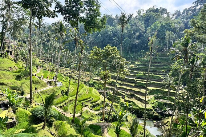 Bali Spiritual: Balinese Healing, Temple & Rice Terrace - Why the private format matters