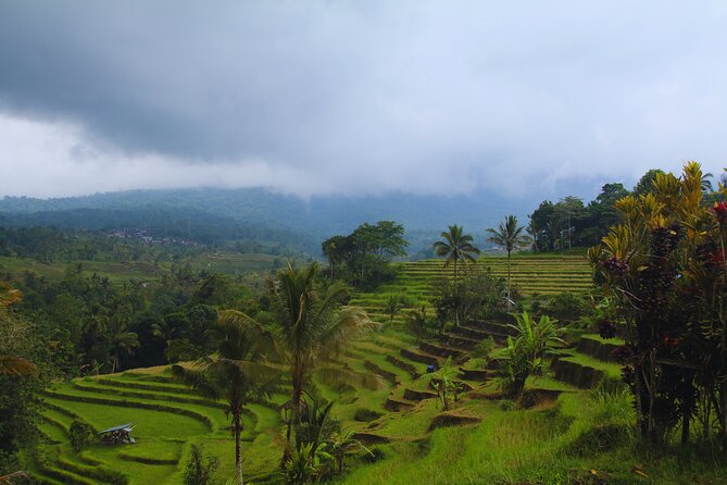Bali Spiritual: Blessing Ceremony, Pristine Nature and Transfer - Homemade lunch at a village warung