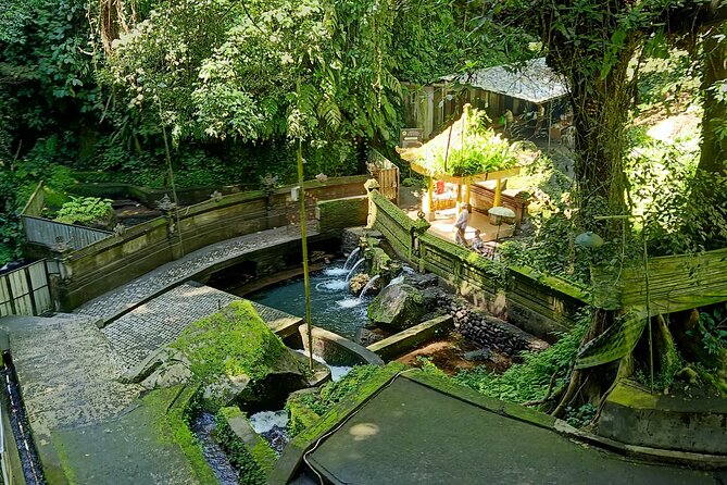 Bali Spiritual Soul Retreat Cleansing and Mantra Healing - Private transport and the value of $79