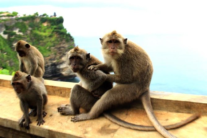 Bali Sunset: Uluwatu Temple, Kecak Dance and Jimbaran - What to pack and plan for