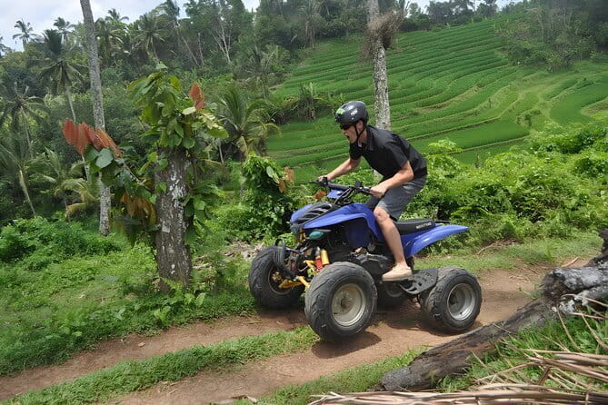 Bali Swing and Quad Bike Packages - Ubud Best Activities - The morning begins above the jungle