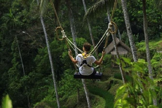 Bali Swing Heaven and White Water Rafting with All Inclusive - How the $46 price holds up