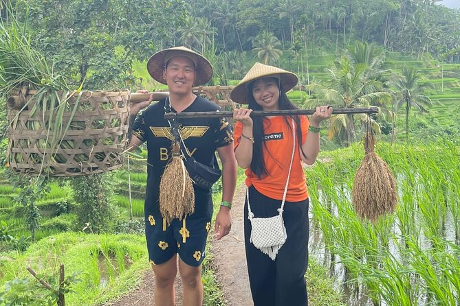 Bali Swing Hot Spring And Waterfall Private Guided Tour - Tampaksiring: a short village and garden pause