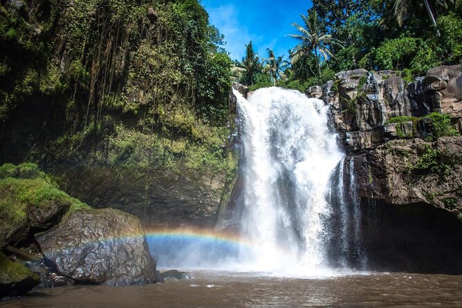 Bali Swing Hot Spring And Waterfall Private Guided Tour - Tegalalang Rice Terrace and the Subak system