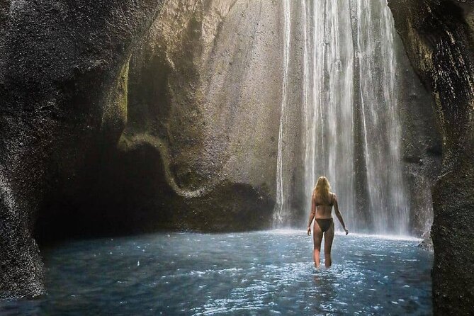 Bali Swing, Monkey Forest and Waterfall Private Tour - The Bali Swing: a scenic start with an extra fee