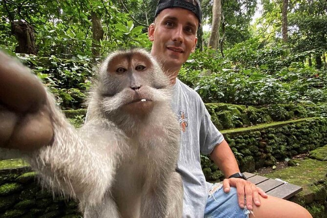 Bali Swing, Monkey Forest and Waterfall Private Tour - What the $24.65 price really covers
