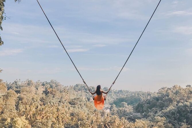 Bali Swing, Monkey Forest and Waterfall Private Tour - Monkey Forest: temples, sculptures, and macaques