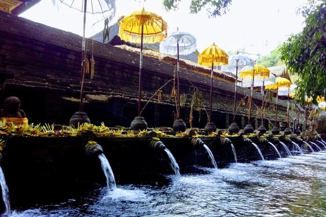 Bali Swing Ubud Private Day Tour - Goa Gajah, the Elephant Cave temple