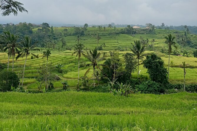 Bali Tanah Lot, Ulun Danu Beratan & Jatiluwih Rice Terrace - Ulun Danu Beratan beside the lake