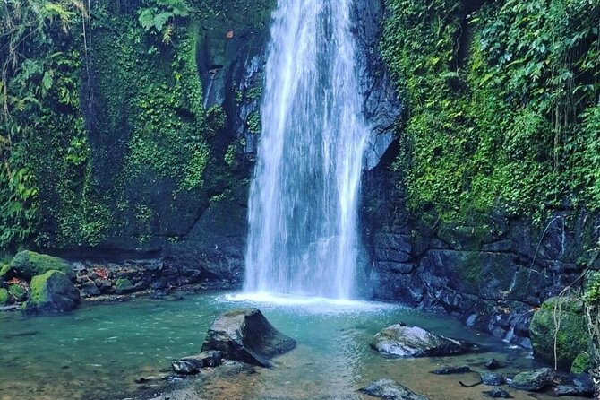 Bali Tirta Empul Tours Experience with Spiritual Cleansing - What the $57 price covers