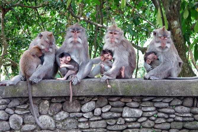 Bali Tour Driver - Celuk Village: gold and silver workshops along the road