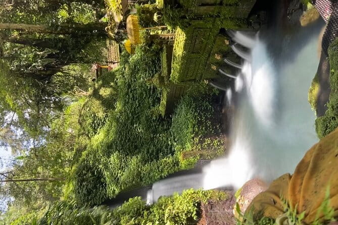 Bali Tour Driver - Mas Village: wood carving in an artistic countryside