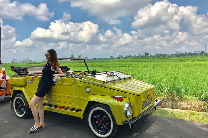 Bali Tour Driver - Sacred Monkey Forest Sanctuary: Ubud’s central wildlife stop