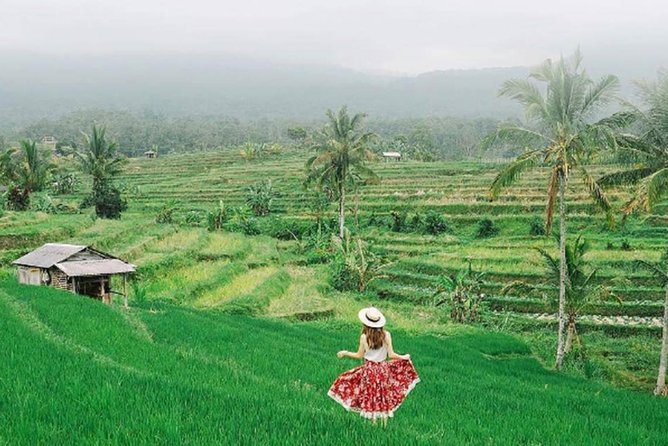 Bali Tour Package 9 Days 8 Nights - Day 5: Balinese performance, Ubud’s palace, and shopping