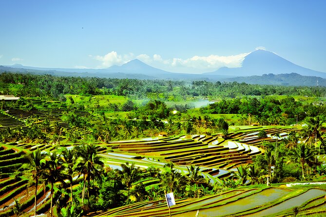 Bali Tour: The Best Way to Explore The Highlight of Bali - Ulun Danu Bratan beside Lake Beratan