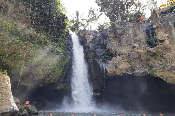 Bali Tour: Ubud Most Popular Place - Key points at a glance