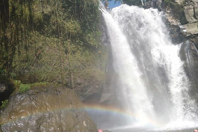 Bali Tour: Ubud Most Popular Place - Tegenungan Waterfall starts the day with a green valley