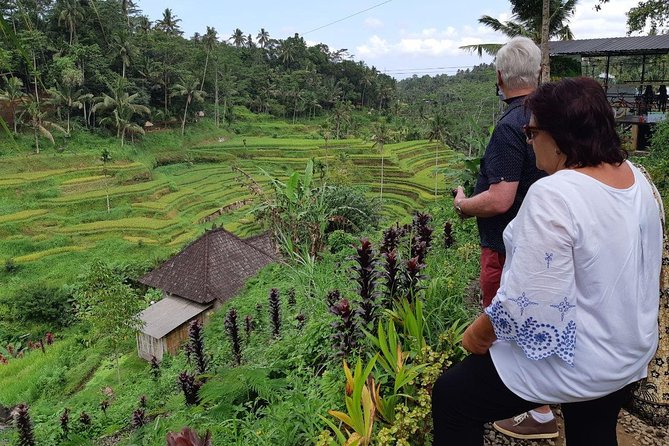 Bali Tour: Ubud Most Popular Place - Tegalalang Rice Terrace is the day’s big view