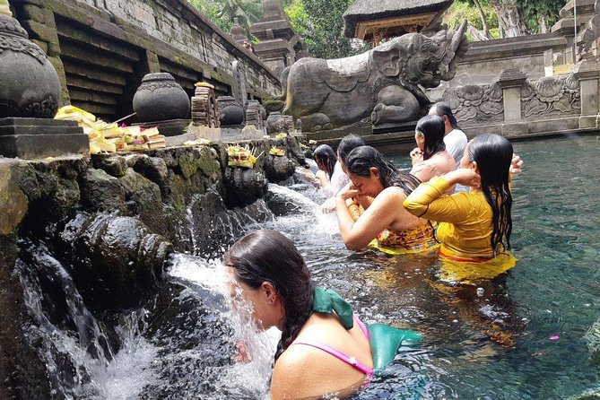 Bali Tour: Ubud Most Popular Place - A private car matters more than it first appears