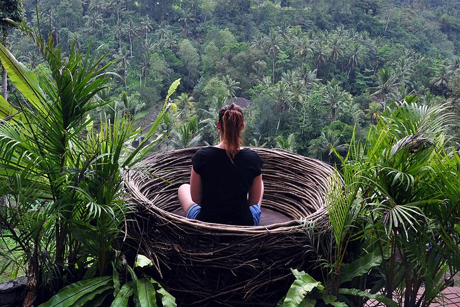Bali Ubud and Volcano Day Tours - Tegalalang Rice Terrace and Bali’s farming scenery