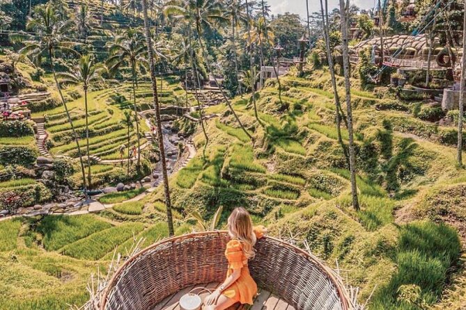 Bali: Ubud Highlights Tour with Private Guide and Transfers - What the private car and guide add