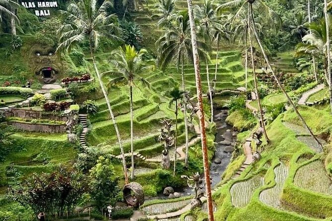 Bali Ubud Private Costomized Tour - Explore Bali your way - Coffee tasting and local lunch at Cantik Agriculture