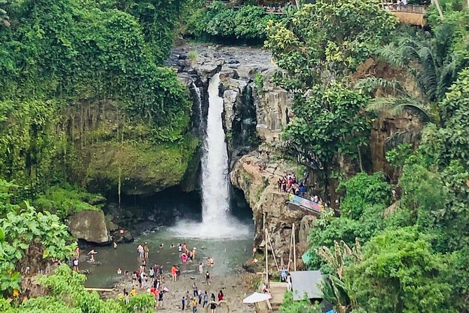 Bali Ubud Tour - Is $80 a good value?