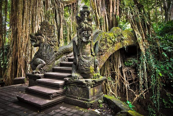 Bali Ubud Tour: Monkey Forest, Waterfall & Rice Terrace - Taking in the broad steps of Tegalalang Rice Terrace