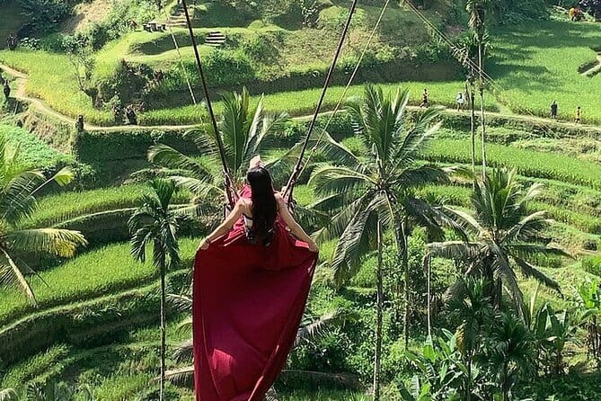 Bali Ubud Tour Monkey Forest, Waterfall, Temple & Rice Terrace - Four sides of Ubud in one long day